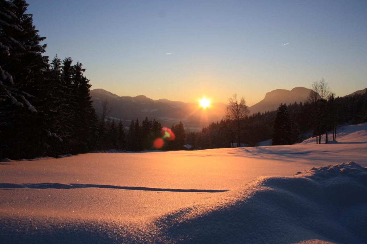 Boutique-Pension Jaegerwirt Scheffau am Wilden Kaiser Exterior foto